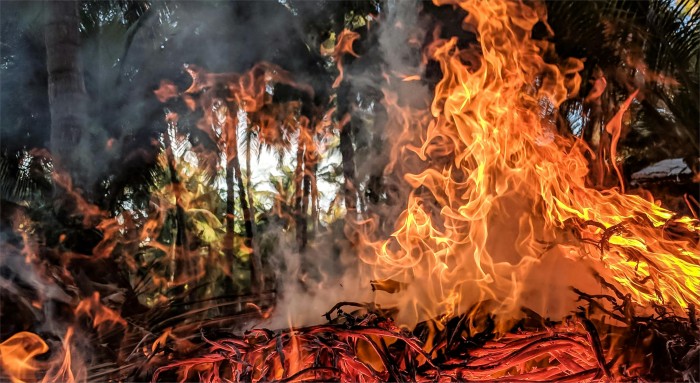 Feux de forêt